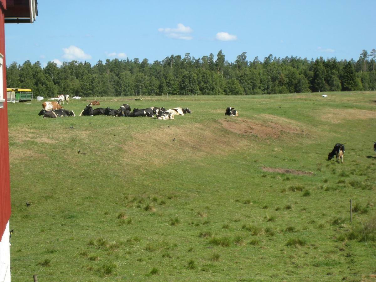Stixered Fegen - Naera Till Ullared Esterno foto